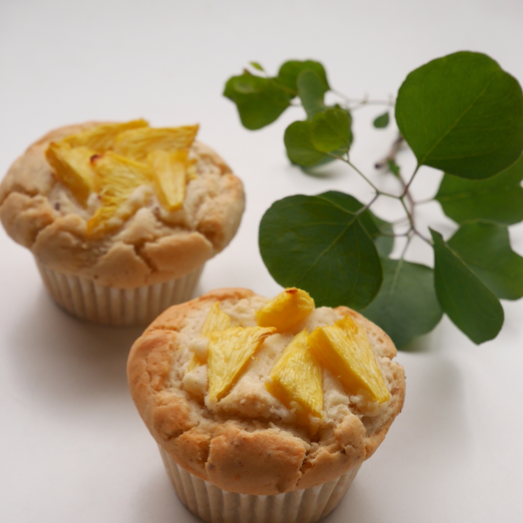 Monthly Muffin - 画像 (5)